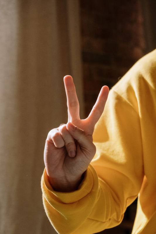 peacesign