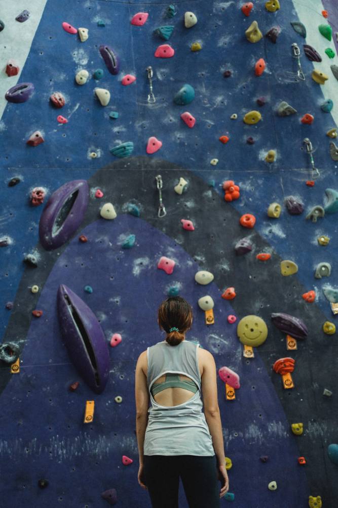 wallclimber