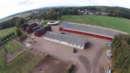 Upptäck Stall Lyngåkra: En oas för hästar och hästägare