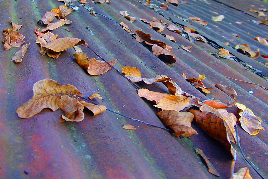 lövfri hängrännor